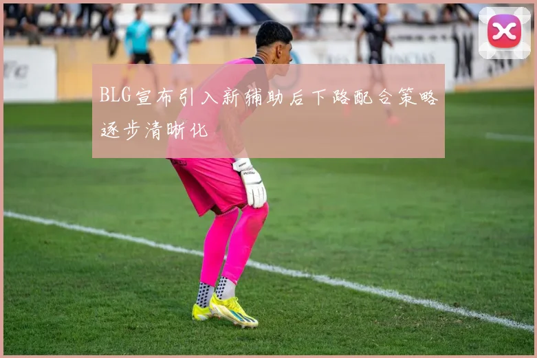BLG宣布引入新辅助后下路配合策略逐步清晰化